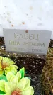 Захоронение ID 6363619