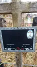 Захоронение ID 6363713