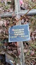 Захоронение ID 6363738