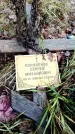 Захоронение ID 6363739