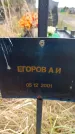 Захоронение ID 6363751