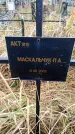 Захоронение ID 6363752