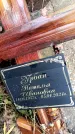 Захоронение ID 6363763