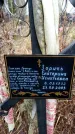 Захоронение ID 6363803