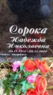 Захоронение ID 6363870
