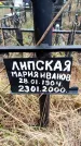 Захоронение ID 6363918