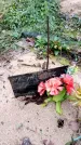 Захоронение ID 6363921