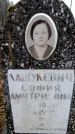 Захоронение ID 6363983
