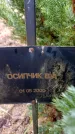 Захоронение ID 6363988