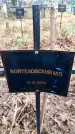Захоронение ID 6364013