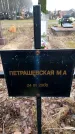 Захоронение ID 6364048