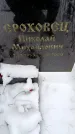 Захоронение ID 6364086