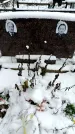 Захоронение ID 6364093