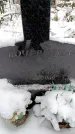 Захоронение ID 6364098