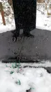 Захоронение ID 6364099