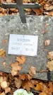 Захоронение ID 6364167