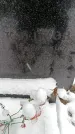 Захоронение ID 6364234