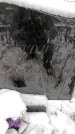 Захоронение ID 6364262
