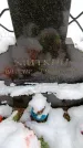 Захоронение ID 6364369