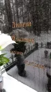 Захоронение ID 6364431