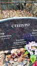 Захоронение ID 6364468