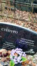 Захоронение ID 6364469