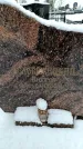 Захоронение ID 6364534