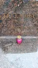 Захоронение ID 6364566