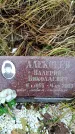 Захоронение ID 6364781
