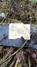 Захоронение ID 6364889