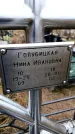 Захоронение ID 6364944