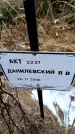 Захоронение ID 6364946