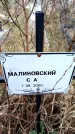 Захоронение ID 6365038