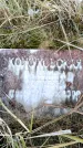 Захоронение ID 6365042