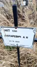 Захоронение ID 6365085