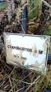 Захоронение ID 6365150
