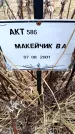 Захоронение ID 6365244
