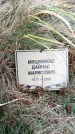 Захоронение ID 6365259