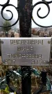 Захоронение ID 6365275