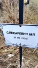Захоронение ID 6365331