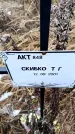 Захоронение ID 6365332