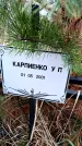 Захоронение ID 6365339
