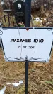 Захоронение ID 6365364