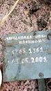 Захоронение ID 6365461