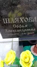 Захоронение ID 6365484