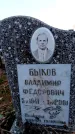 Захоронение ID 6365634