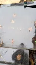 Захоронение ID 6365854
