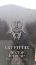 Захоронение ID 6365872