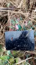 Захоронение ID 6365935