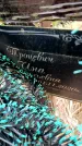 Захоронение ID 6366228
